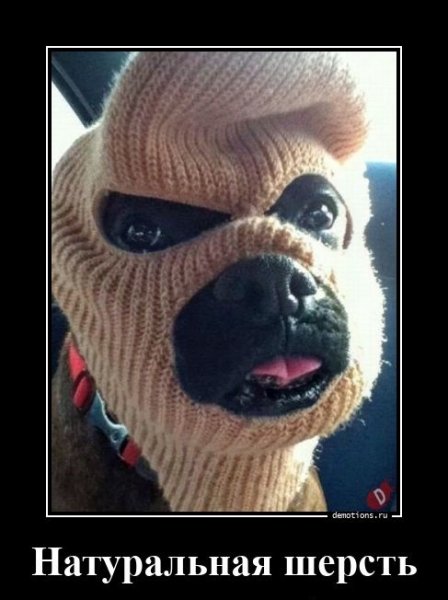 Натуральная шерсть