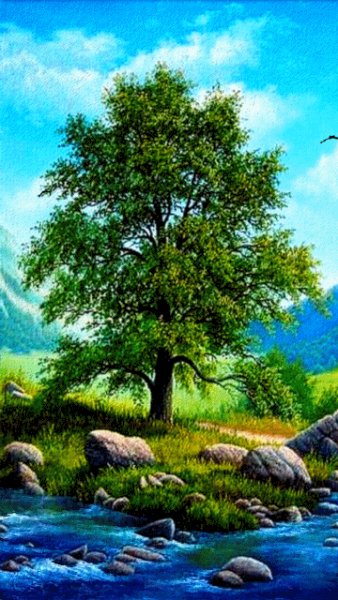 file_49791838