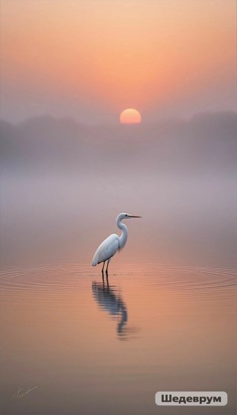 Generated image 5534ecd6236d11f187fc2abf20891a1b