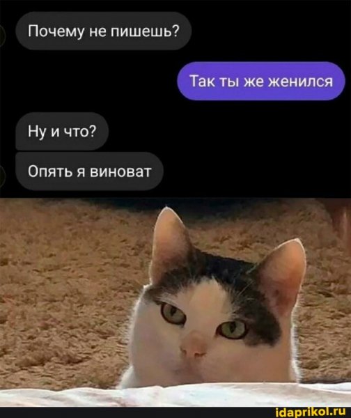 2b794f9aa2917bc54610b27a66d2f2b7c7e0f0a0bee9b 1