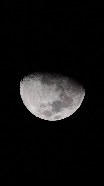 Moon739349