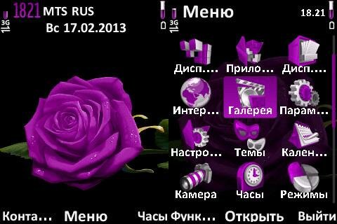 violetrose