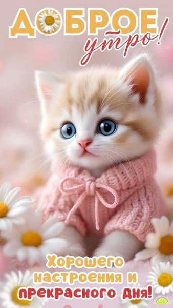 IMG 20250409 075824 849