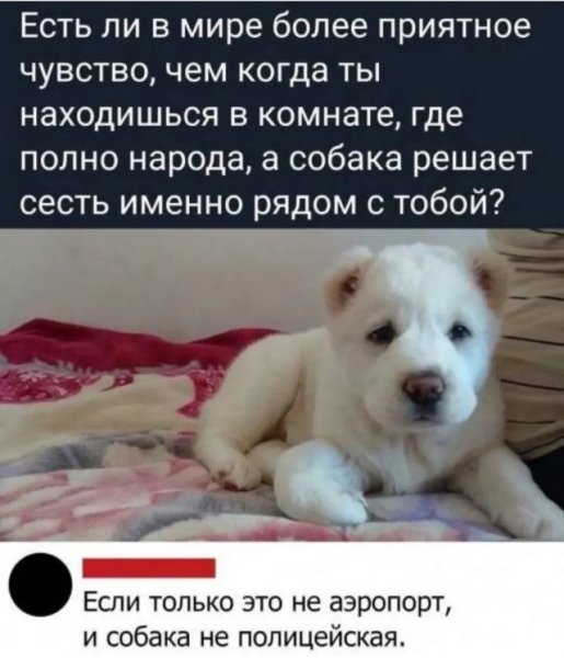 file_102362342