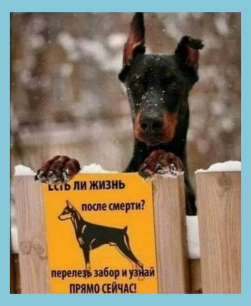 B612 20210802 023813 786