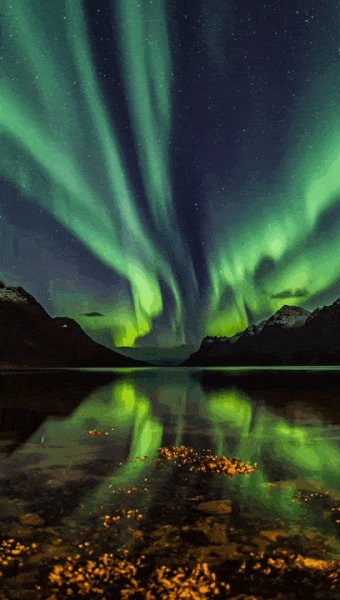 file_97348973