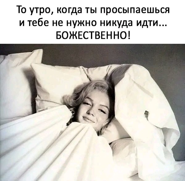 file_95993599