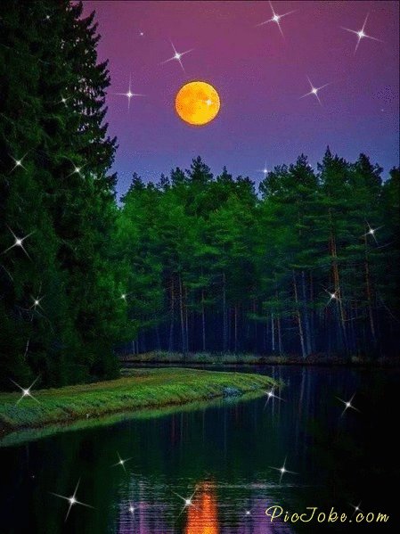 file_73789003