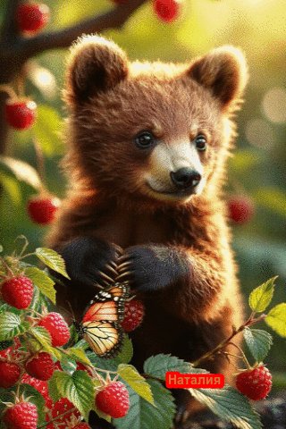 file_100685464