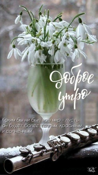 Доброе утро...