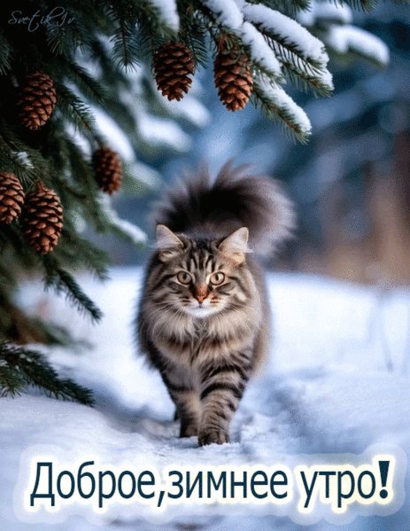 9c5a306046baad6bef40c7c727a422c9