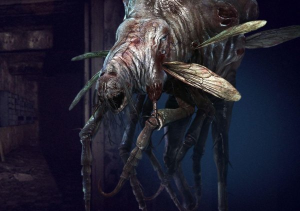 Стеклохват