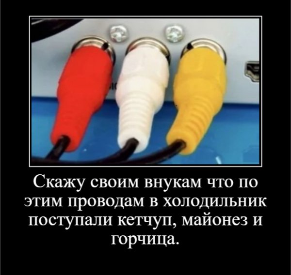 Скажу своим внукам что по этим проводам в холодильник ....