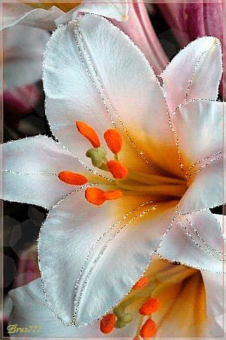 file_52224707