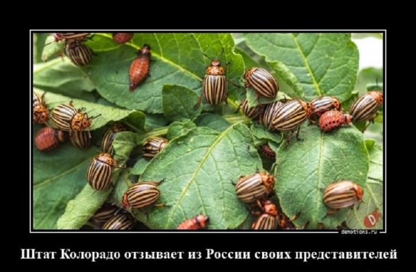 Штат Колорадо отзывает своих представителей