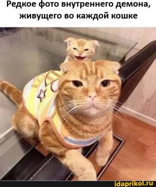 81c1c6c7d55c3e35bd41d5bdedc85ba1126283b04c401f3b81a 1