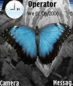 BlueButterfly