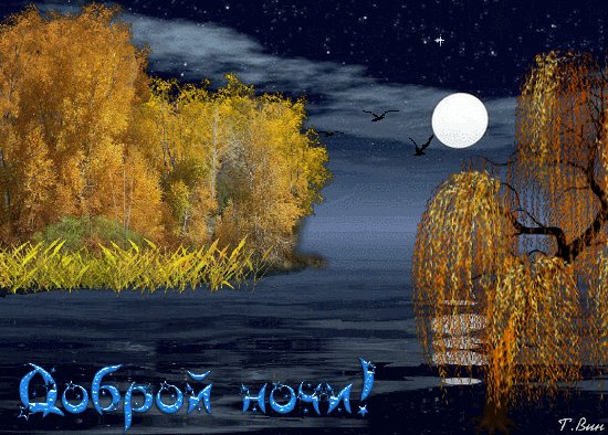 доброй ночи