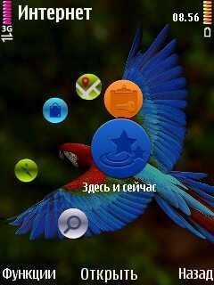 Parrot HD
