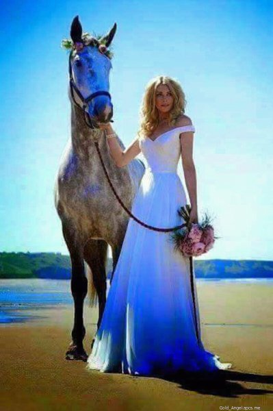 FB IMG 15012956468088320-