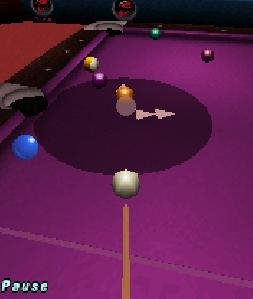 Pool2009 176x208