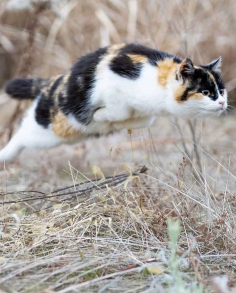 FB IMG 1774459184284