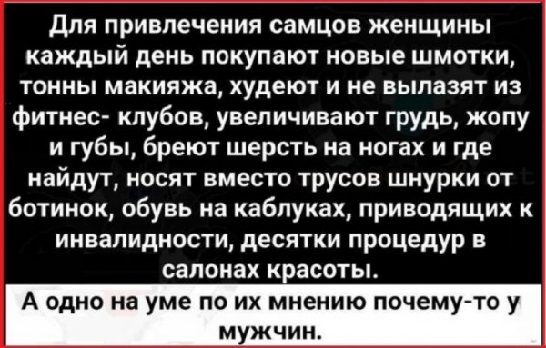 file_98865212