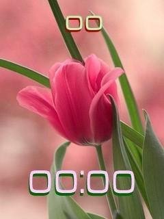 Весенний слайд 5 картинок Фл.1.1