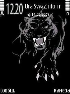 Wild tiger