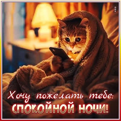 Otkrytka-uze-xocu-pozelat-spokoinoi-noci-33382