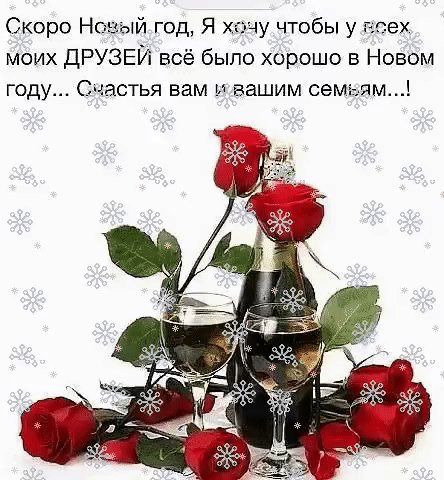 IMG 20201231 001819