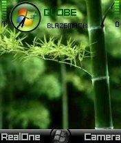 theme 48433