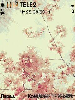 flowerfp2b xn9fdinl