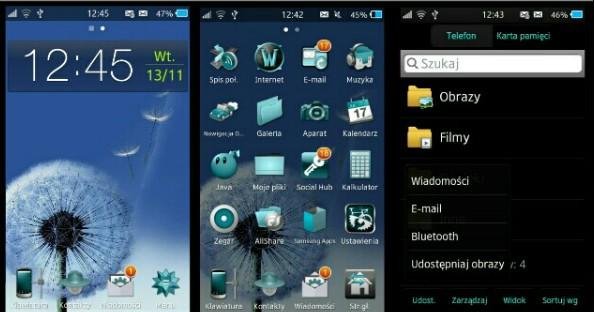 dandelion-in-water-theme-bada-2-0