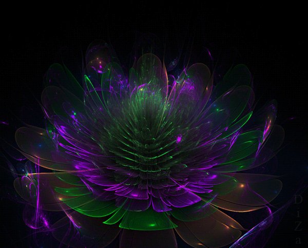 image 861802161510033415355