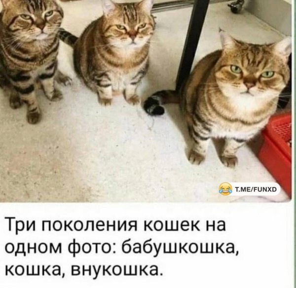 IMG 20251227 000241 549