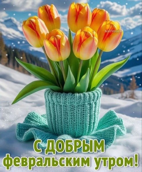 IMG 20260212 100736 348