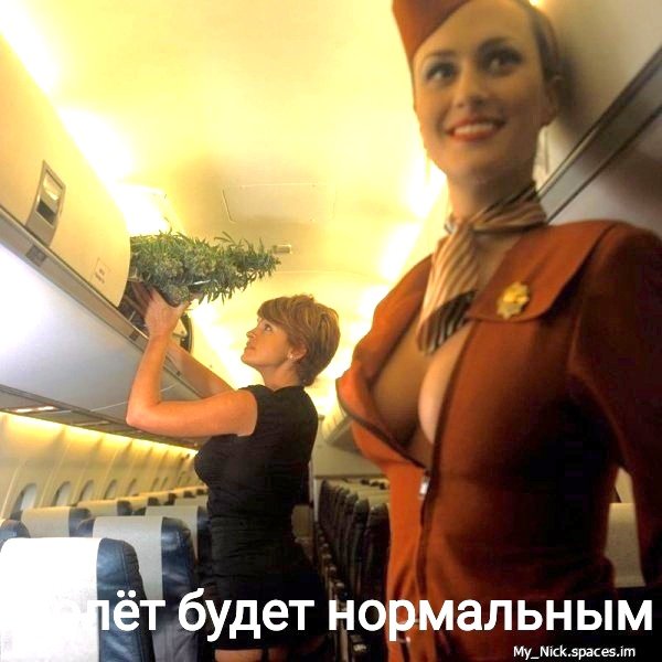 file_98575613