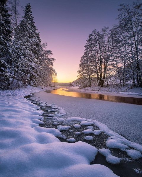 file_101578873
