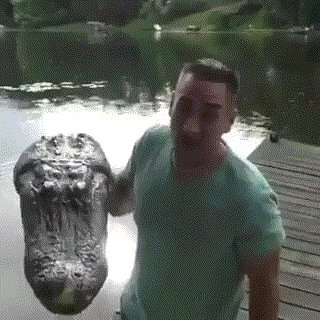 e3a2041ebdddc30c0d4d317c61bb3fb94fe8edd9cfb793971d269ce0dc549