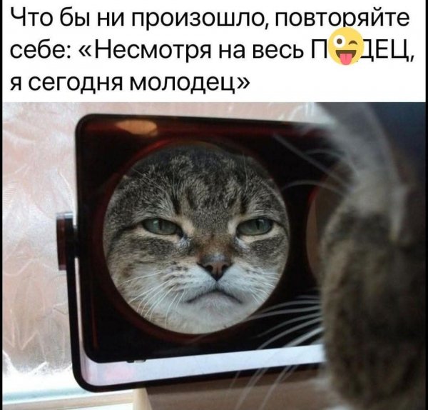 FB IMG 1776781694885