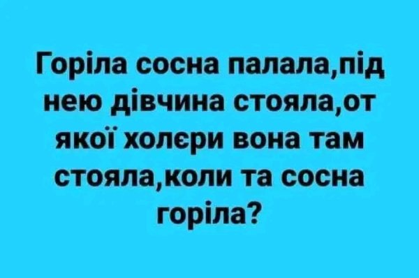 file_98755071