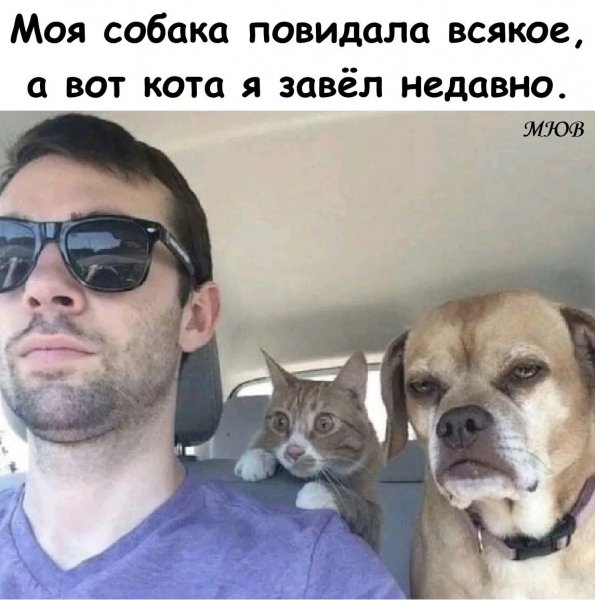 FB IMG 1775992000317