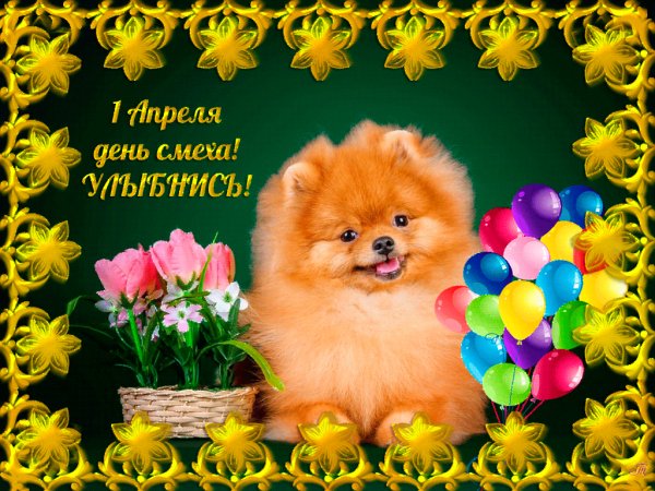 file_55903508