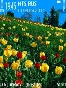 tulips-field-by-trewoga