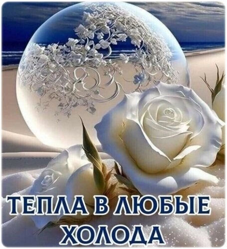 Открытка тепла в любые холода