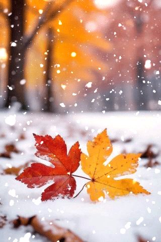 file_101362955