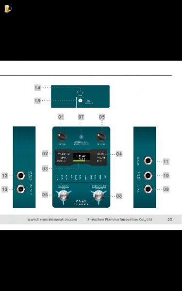 FS21 Manual EN V01 2020.11.05-G