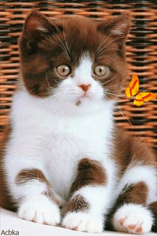 file_82273316