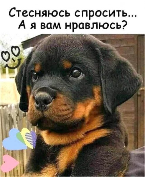 FB IMG 1773953923505